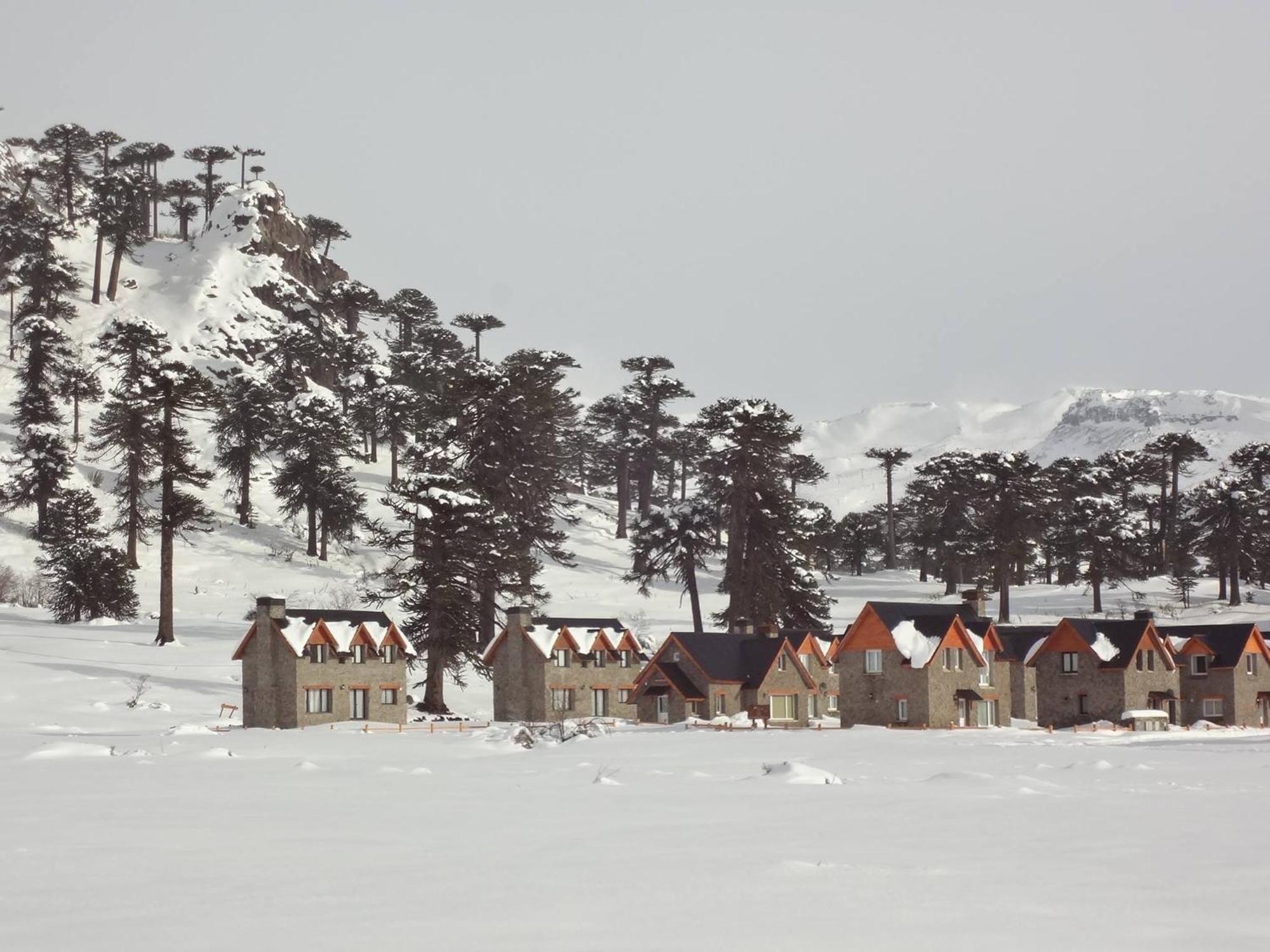 Cabanas Patagonia Village Caviahue Dış mekan fotoğraf