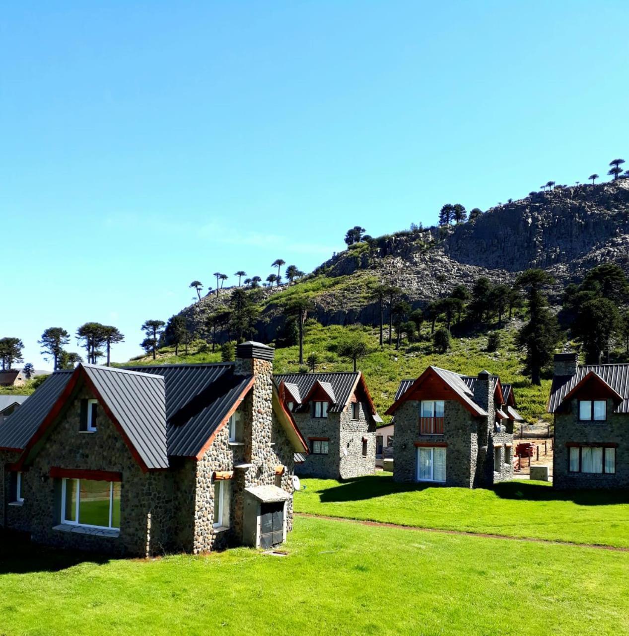 Cabanas Patagonia Village Caviahue Dış mekan fotoğraf